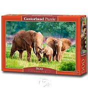 【波蘭Castorland拼圖】大象家族-0500片