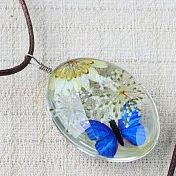 Alice遇見愛麗絲‧四季花園‧春日繽紛‧蝶舞