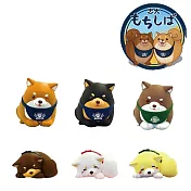 【日本正版授權】全套6款 忠犬麻糬柴犬 公仔吊飾 午睡篇 盒玩 吊飾 麻糬柴犬/圓滾滾柴犬