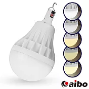 USB充電智能型 5段光吊掛式LED大燈泡(LI-17)