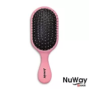 【施魔梳】巧妝款專業梳 (任選一色)粉紅
