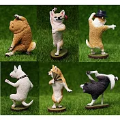 Animal Life 狗舞蹈大師（全套6款）