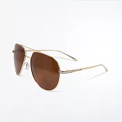【ASLLY】歐美飛行員款金框棕片偏光墨鏡/太陽眼鏡
