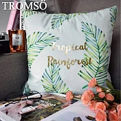 TROMSO風尚北歐抱枕/金典叢林