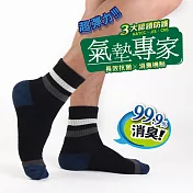 瑪榭 長效抗菌 氣墊專家避震毛巾底1/2襪-條紋(25~27cm)L黑