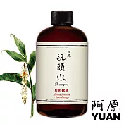 阿原 YUAN｜月桃洗頭水-賦活250mL