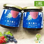 《樂園．樹》莓大莓小-無農藥草莓藍莓雙果醬