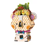 Robotime/ 朵肉工作室 -可拉熊