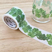 【bande】和紙膠帶轉印貼紙_常春藤