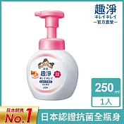 LION日本獅王 趣淨洗手慕斯250ml-清新果香