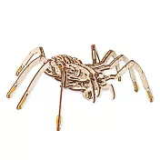 白俄羅斯 EWA 動力模型/暴走蜘蛛