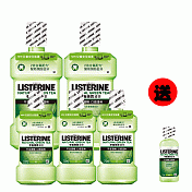李施德霖 綠茶防蛀護齦漱口水(5件組) (750ml*2+250ml*3 加贈100ml*1)