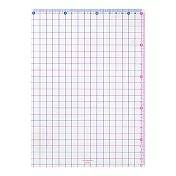 MIDORI 透明方格墊板-紅