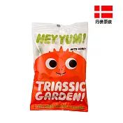 【HEY YUM! 】丹麥有機優格水果軟糖-Triassic Garden(不含麩質)(100g)