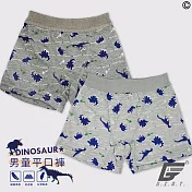 台灣製男童恐龍全印四角褲(2件組/不挑色)SS