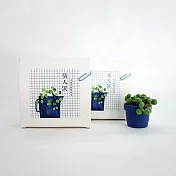 羊毛氈手創館【多肉植物 • 手作包】情人淚