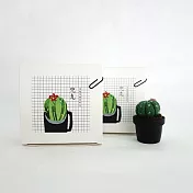 羊毛氈手創館【多肉植物 • 手作包】兜丸