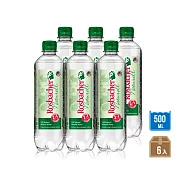 德國ROSBACHER天然礦泉水500mlx6