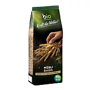 【bz】德國BZ六珍寶燕麥片(750g包)