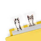 英國 Mustard 趣味標籤貼 - 討抱貓