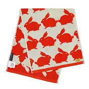 【日本丸真】Anorak英倫設計款毛巾 (兔子)