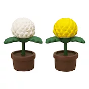 【DECOLE】Concombre_菊花套組