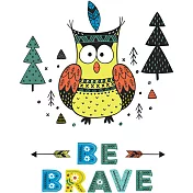 韓國進口熱轉印貼紙-彩色貓頭鷹