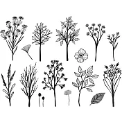 韓國進口熱轉印貼紙-乾燥花