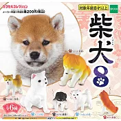 【日本正版授權】全套6款 可愛柴犬 造型公仔 P8 扭蛋/轉蛋 柴犬 擺飾 618641