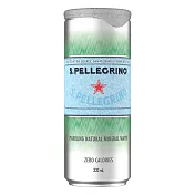 【聖沛黎洛】天然氣泡礦泉水 (330mlx24入)