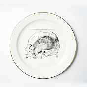 【賽先生科學工廠】東海醫院-頭骨瓷盤