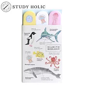 GreenFlash - STUDY HOLIC 造型便利貼(海洋生物學)