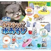 【日本正版授權】全套6款 戲水海獺 扭蛋/轉蛋 擺飾 海獺 619044