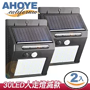 【AHOYE】IP65防水太陽能感應燈 2入組