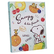 Kamio 書型多樣式自黏便利貼 索引貼冊 SNOOPY 水果薄荷綠