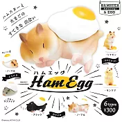 【日本正版授權】全套6款 倉鼠雞蛋公仔 扭蛋/轉蛋 KITAN 奇譚 302520