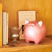 Dreams Sound Coink 會說話的開運粉紅豬撲滿