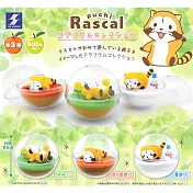 【日本正版授權】全套3款 小浣熊 盆景品 扭蛋/轉蛋 水晶球/瓶中造景 拉斯卡爾 908427