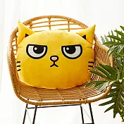 黃阿瑪大頭抱枕嚕嚕