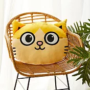 黃阿瑪大頭抱枕三腳