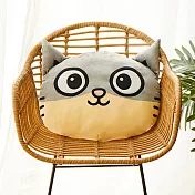 黃阿瑪大頭抱枕柚子