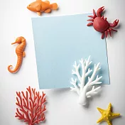 QUALY 熱帶海洋-磁鐵