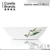 【美國康寧 CORELLE】瓶中樹1.4L方形湯碗