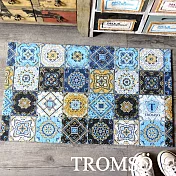 TROMSO北歐圈絲門口刮泥地墊 藍調花磚