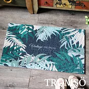 TROMSO北歐圈絲門口刮泥地墊 黑葉時尚