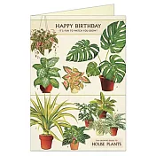 美國 Cavallini & Co. Greeting Cards 卡片/生日卡 _室內植物