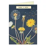 美國 Cavallini & Co. Greeting Cards 卡片/萬用卡 蒲公英