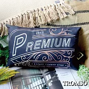 TROMSO風尚丹麥舒柔棉腰靠枕UR 203搖滾時光