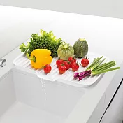 《TESCOMA》雙面瀝水盤 | 餐具杯盤墊 隔水墊 流理臺墊