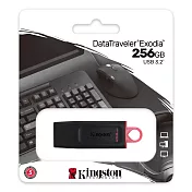 Kingston 金士頓 256GB DataTraveler Exodia USB 3.2 隨身碟 DTX/256GB